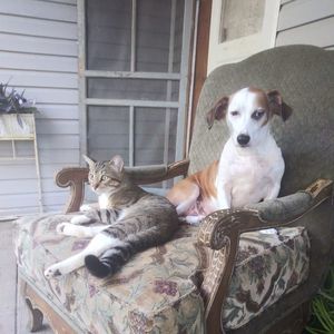 Meet your Posher, Sara lee